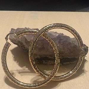 Elegant Gold Hoop Earrings